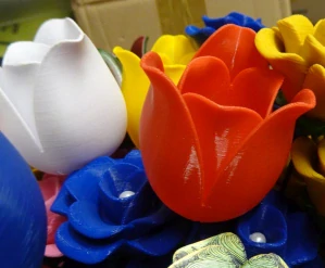 3D tulipán